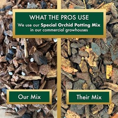 Sun Bulb 50000 Better Gro Special Orchid Mix, 4-Quart