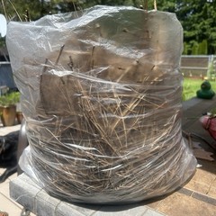 2 Pounds Pine Needles For Garden, Moisture Retention, Erosion Control, Crafts