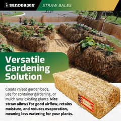Sandbaggy Rice Straw Bales (Certified Weed Free) – 46″ x 15″ x 22″