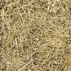 EZ Straw Seeding Mulch with Tack, 2.5 Cubic Feet (4 Pack)