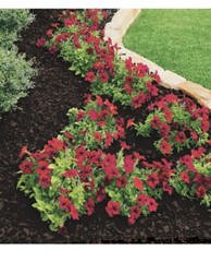 NuScape Red Landscape Playground Drainage Medium Rubber Mulch, 0.8 CU FT