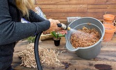 (22325) Orchid Sphagnum Moss Dried Natural 1 Pound Mini Bale
