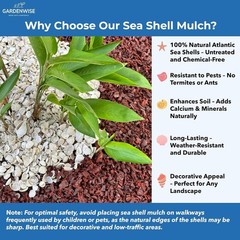 Natural Sea Shell Mulch – Decorative Coastal Shells for Garden, Pathway, Patio