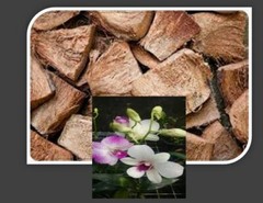 Coconut Husk Chips Organic Growing Media for Orchids, Anthurium & Hoya Plant 1kg