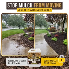 Petra Max Lockscape Mulch Glue for Landscaping 3X 32 OZ, Dries Clear