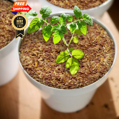 100% Natural Cedar Chips | Mulch | Great for Outdoors 4 Quarts,