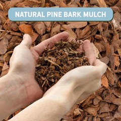 100% Natural Pine Bark Mulch Nuggets (8 Quarts), Small Chips 8 Quarts