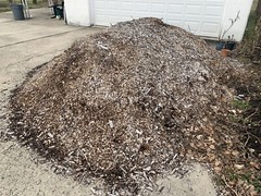 [FREE] Mulching Wood Chips