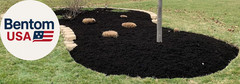 Mulch Dye Midnight Black Quart, Petra Max Mulch Paint Concentrate for Pump Spray