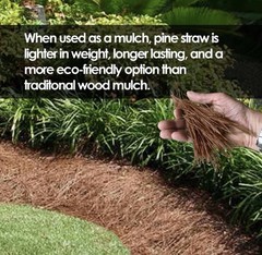 FRESH Garden Elements Quality Long Leaf PINE STRAW Bale Inch Depth Cover Mulch!!