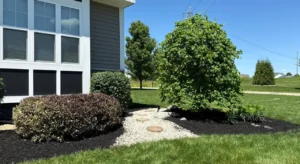 Best Mulch Supplier Near Green, Ohio