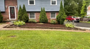 Why Professional Mulch Installation Looks Better Than DIY