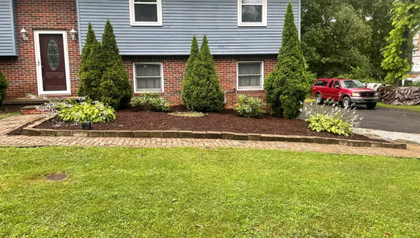 Why Professional Mulch Installation Looks Better Than DIY